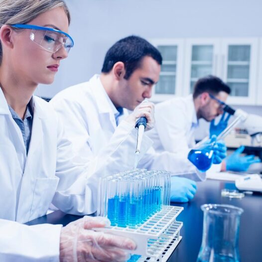 Social Studies Preschool